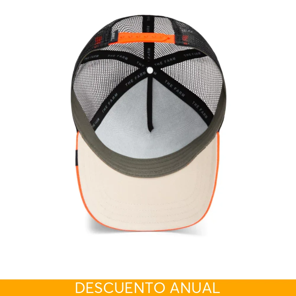 Imagen del producto 5