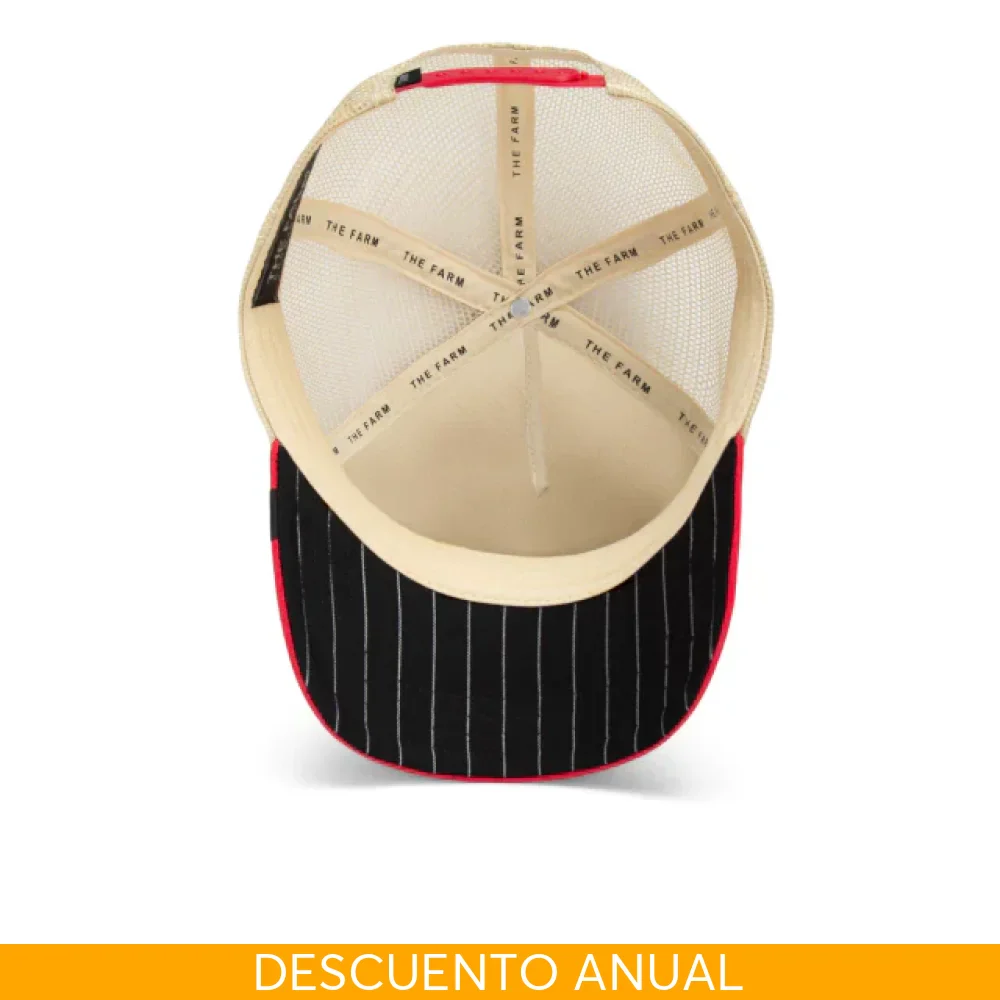 Imagen del producto 6
