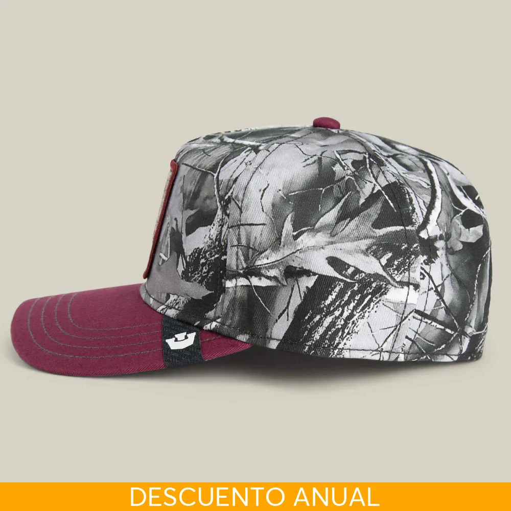 Imagen del producto 6
